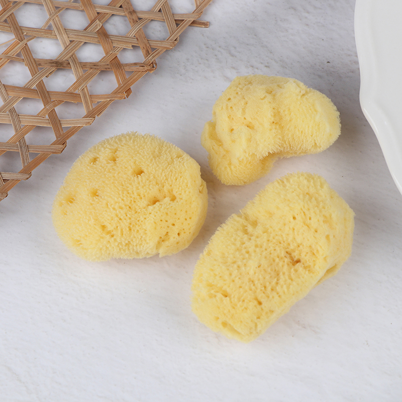 Special Texture Production Cle - Eco Sponge ulasan dan harga