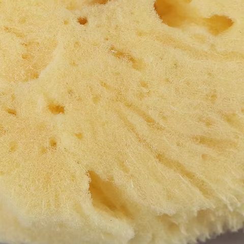 Special Texture Production Cle - Eco Sponge ulasan dan harga