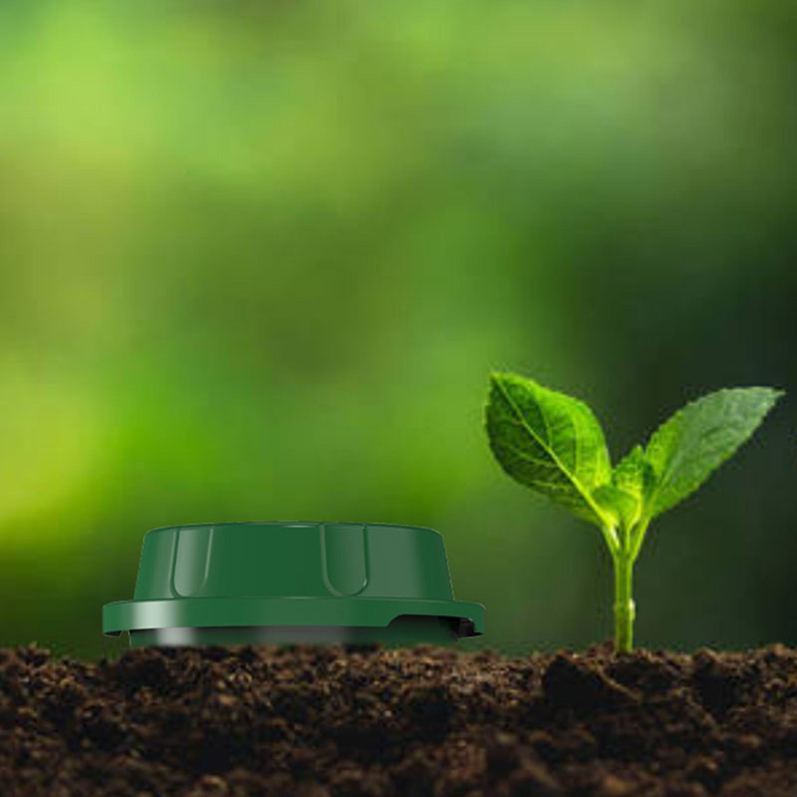 Inground Worm Composter With V - Compost Bin ulasan dan harga