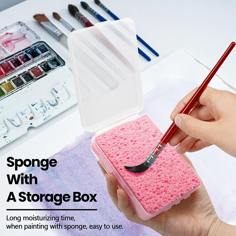 Boxed Watercolor Pigment Paint - Eco Sponge ulasan dan harga