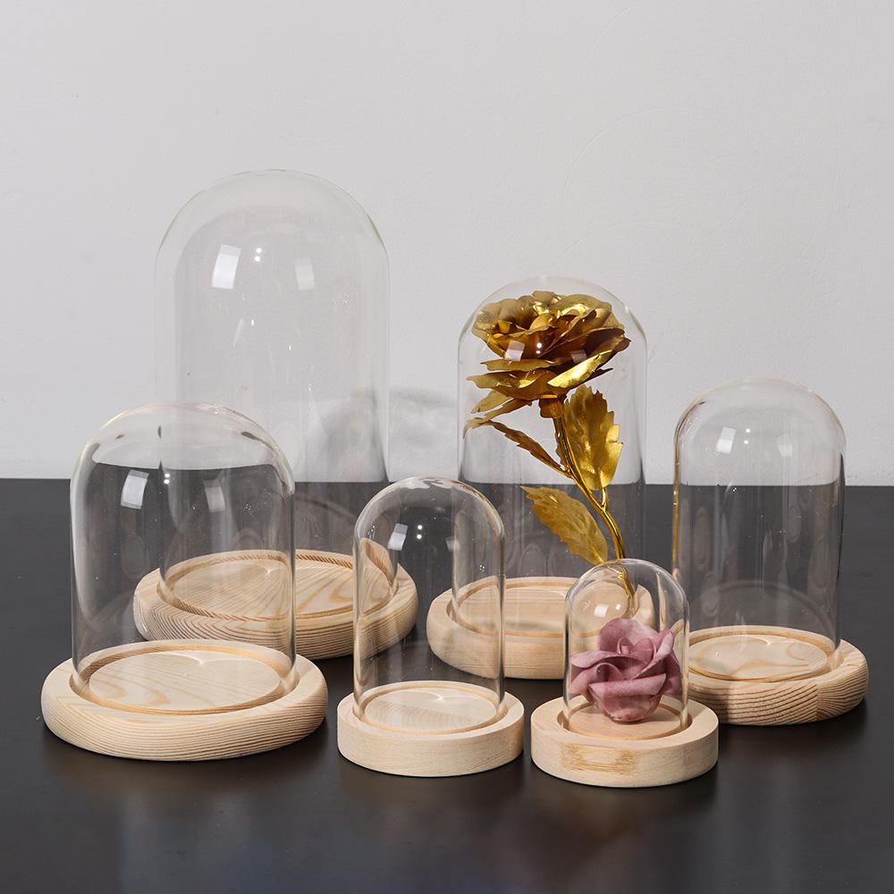 Terrarium Tabletop Fairy Light - Reusable Bottle ulasan dan harga